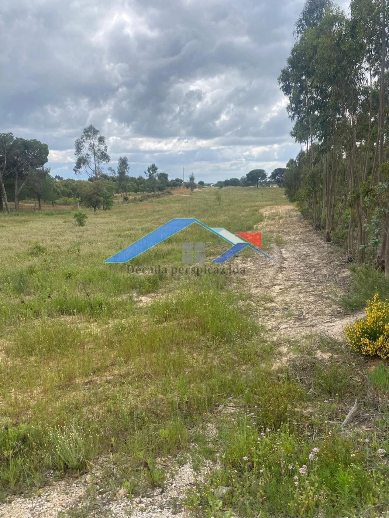 Quinta T2 para Venda em Branca Foto 10