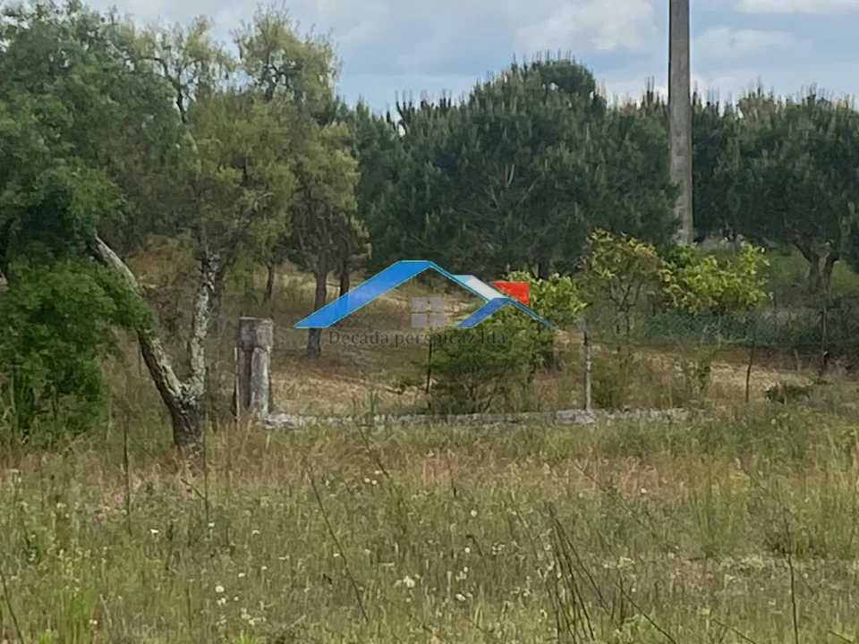 Quinta T2 para Venda em Branca Foto 22