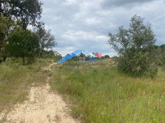 Quinta T2 para Venda em Branca Foto 18