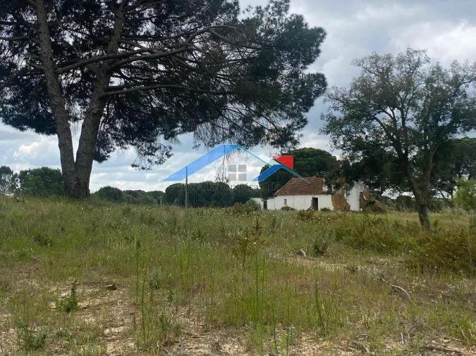 Quinta T2 para Venda em Branca Foto 3