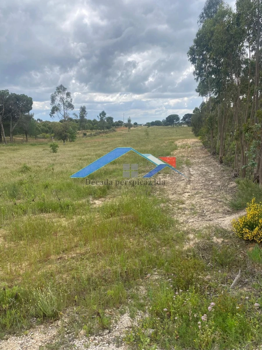 Quinta T2 para Venda em Branca Foto 10