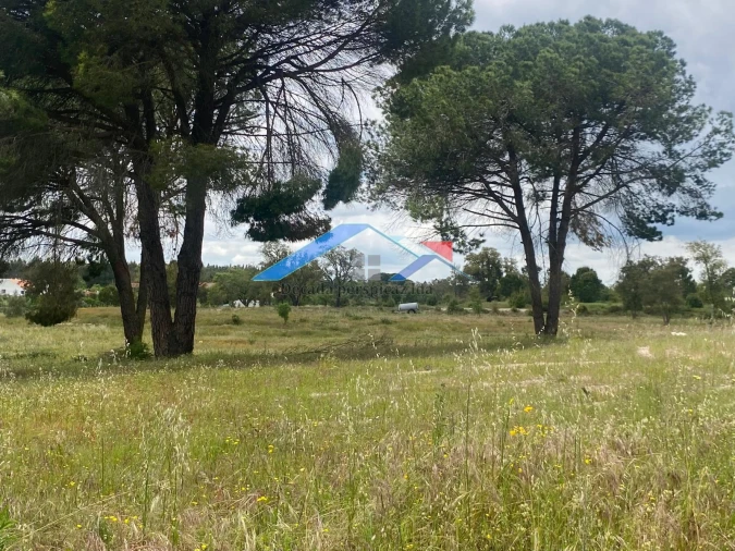 Quinta T2 para Venda em Branca Foto 17