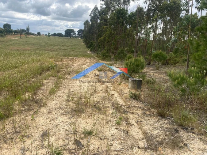 Quinta T2 para Venda em Branca Foto 11