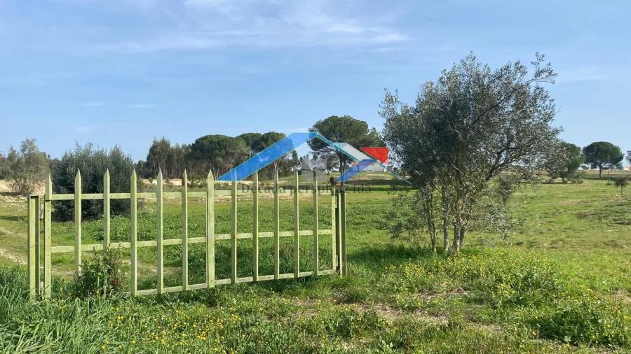 Quinta T2 para Venda em Branca Foto 12