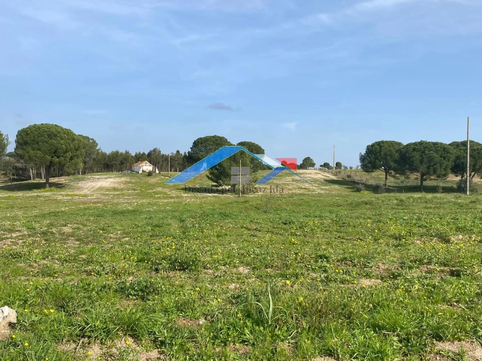 Quinta T2 para Venda em Branca Foto 16