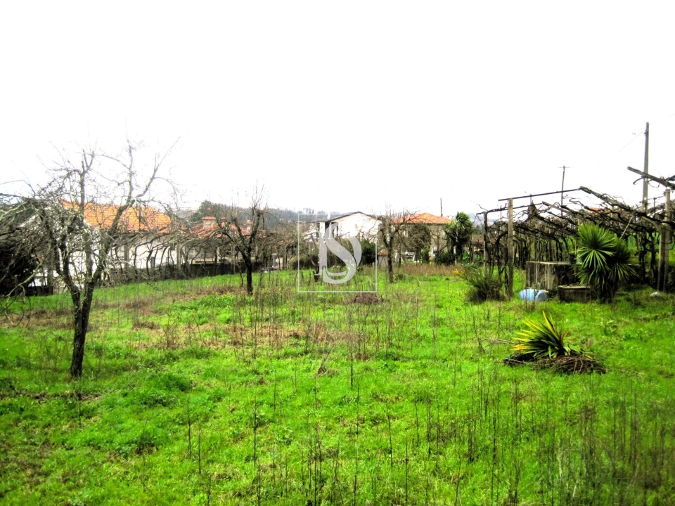 Terreno para Venda em Alpendorada, Várzea e Torrão Foto 7