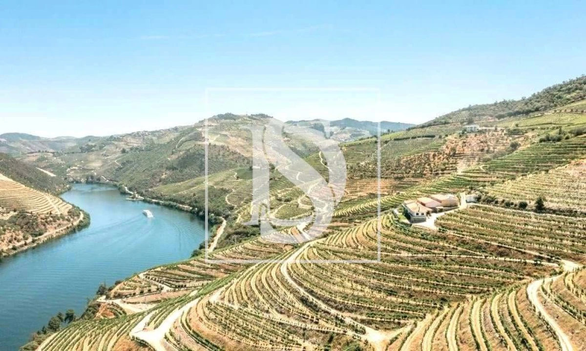 Terreno para Venda em Alpendorada, Várzea e Torrão Foto 10