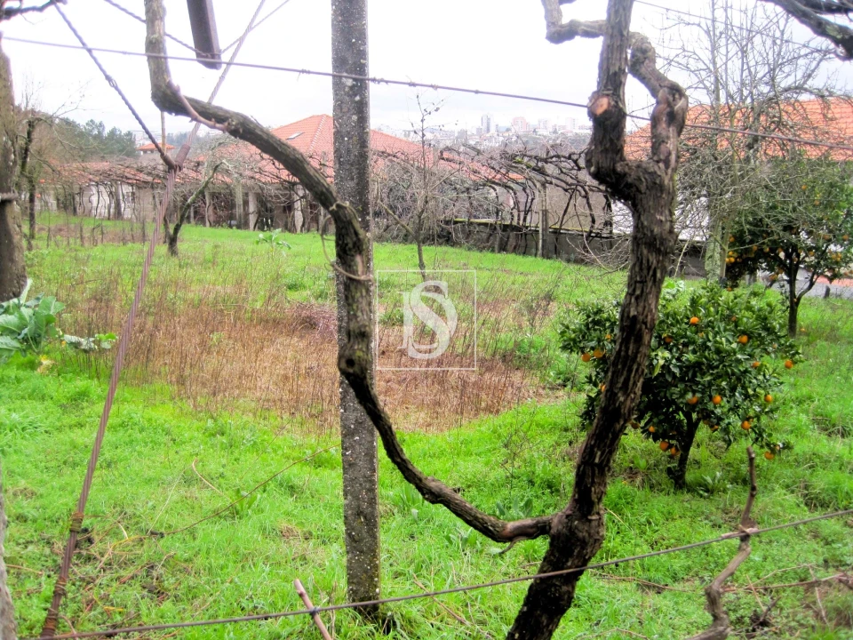 Terreno para Venda em Alpendorada, Várzea e Torrão Foto 2