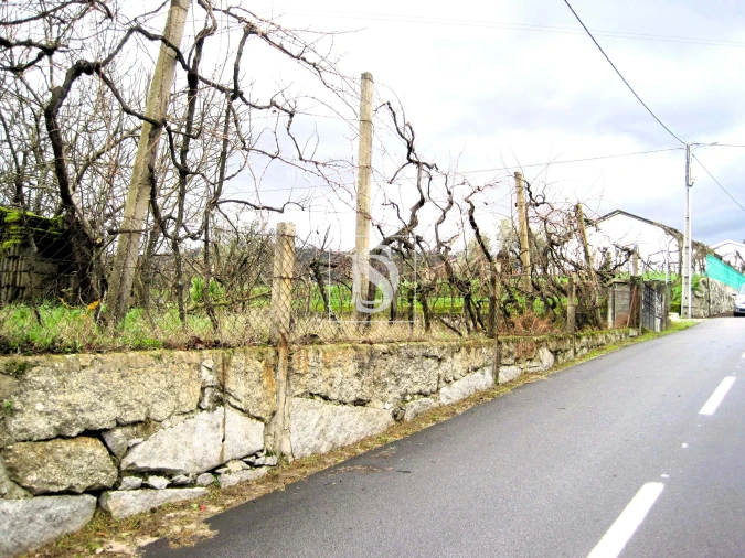 Terreno para Venda em Alpendorada, Várzea e Torrão Foto 1