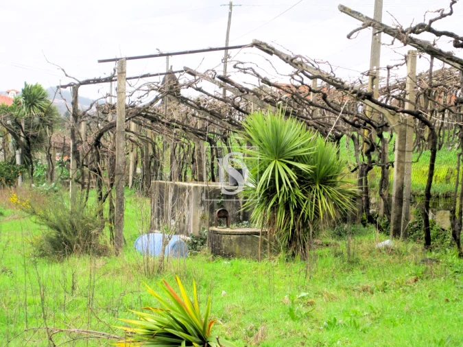 Terreno para Venda em Alpendorada, Várzea e Torrão Foto 6