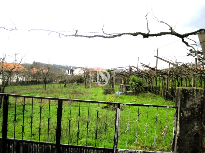 Terreno para Venda em Alpendorada, Várzea e Torrão Foto 3