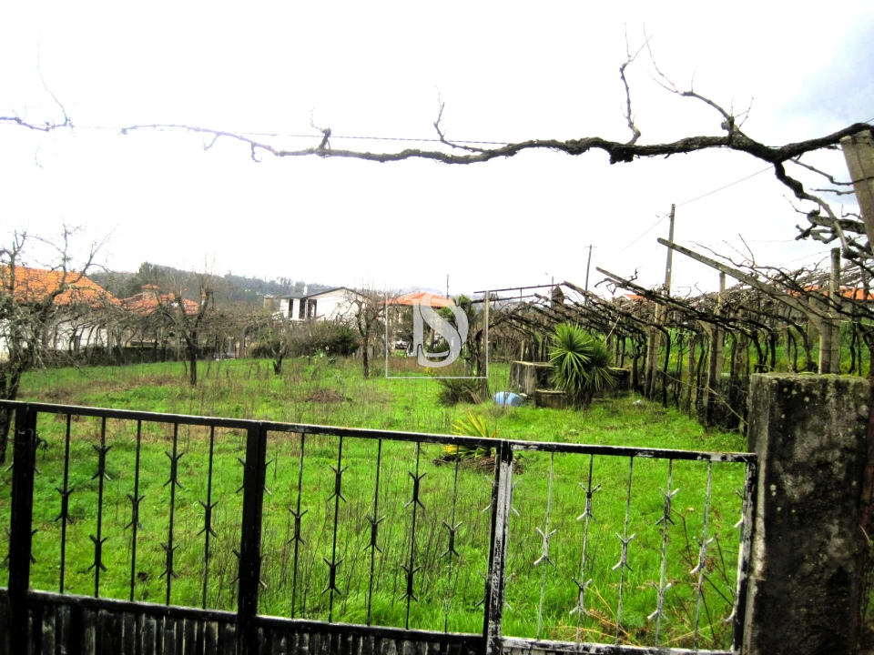 Terreno para Venda em Alpendorada, Várzea e Torrão Foto 3