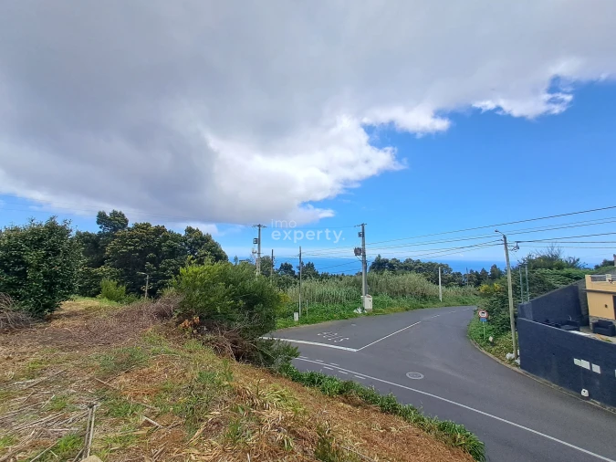Terreno Agricola ou Rústico para Venda em Camacha Foto 3