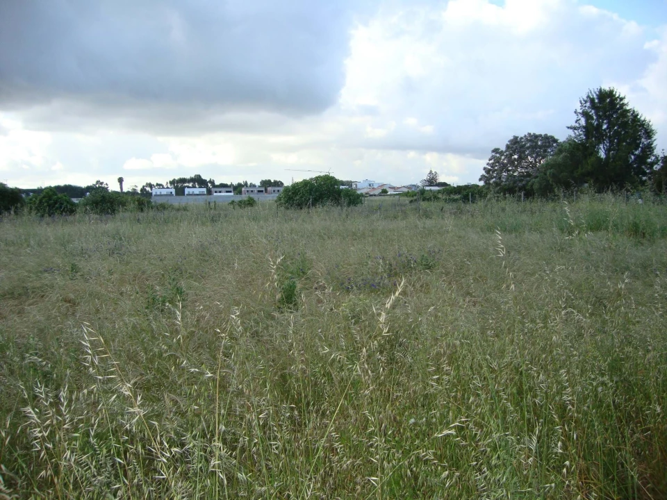 Terreno para Venda em Alcochete Foto 25
