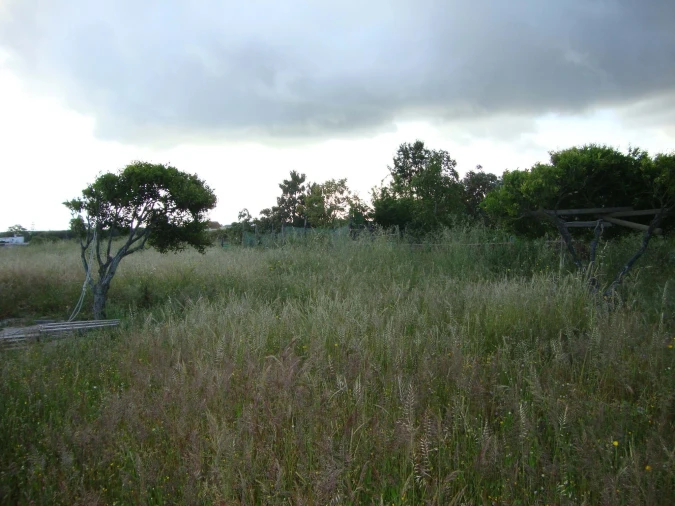 Terreno para Venda em Alcochete Foto 12