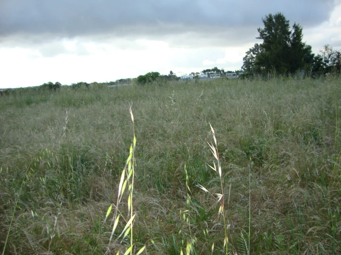 Terreno para Venda em Alcochete Foto 19