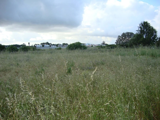Terreno para Venda em Alcochete Foto 25