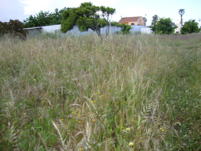 Terreno para Venda em Alcochete Foto 30