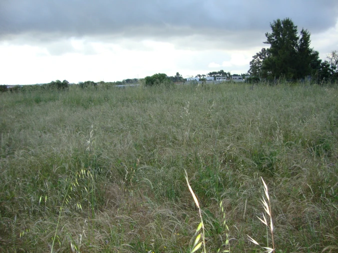 Terreno para Venda em Alcochete Foto 20