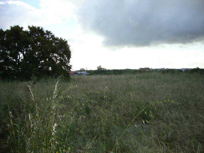 Terreno para Venda em Alcochete Foto 18