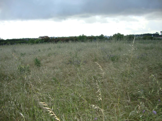 Terreno para Venda em Alcochete Foto 22