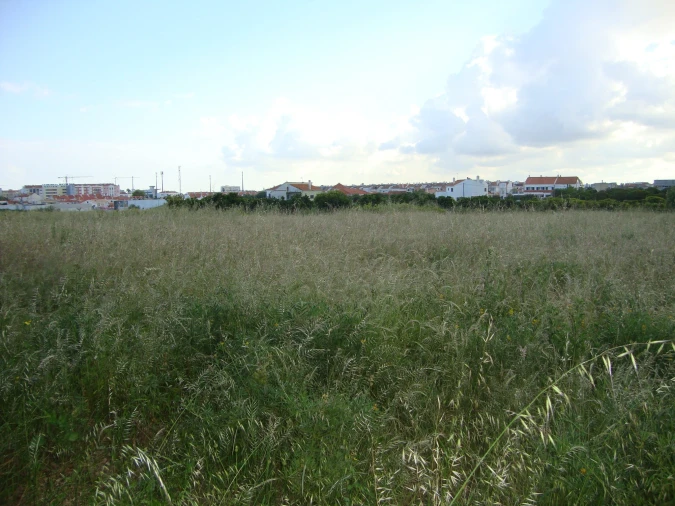 Terreno para Venda em Alcochete Foto 24