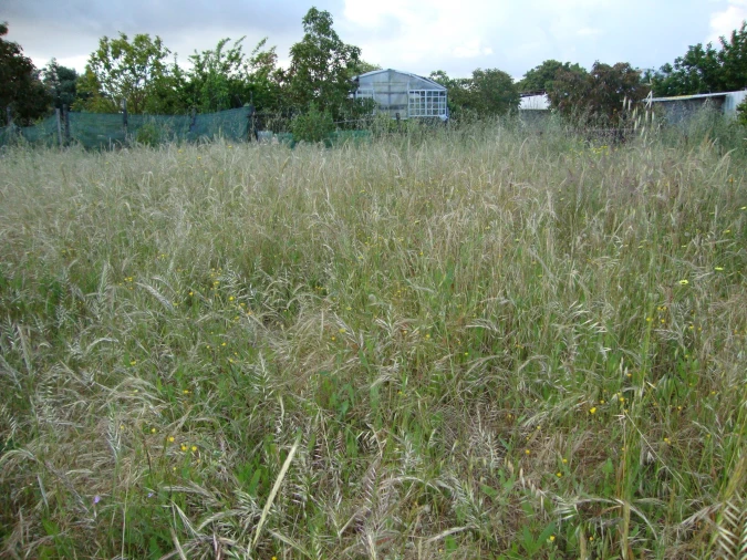 Terreno para Venda em Alcochete Foto 31