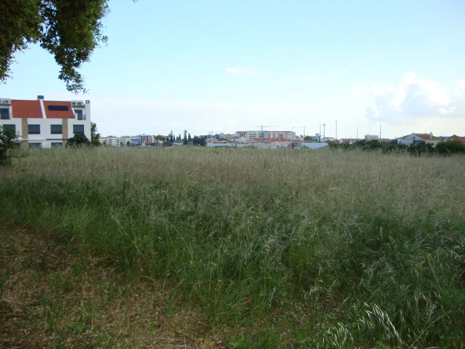 Terreno para Venda em Alcochete Foto 23