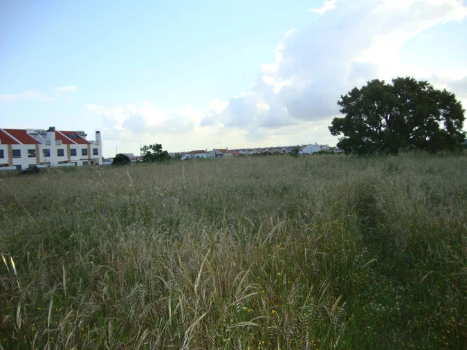 Terreno para Venda em Alcochete Foto 17
