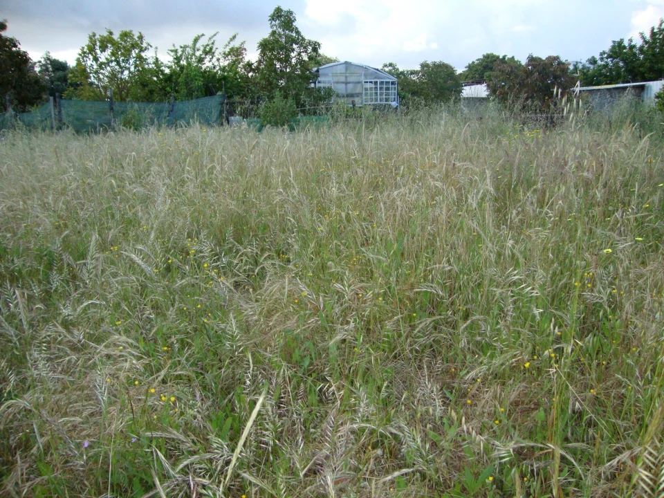 Terreno para Venda em Alcochete Foto 31