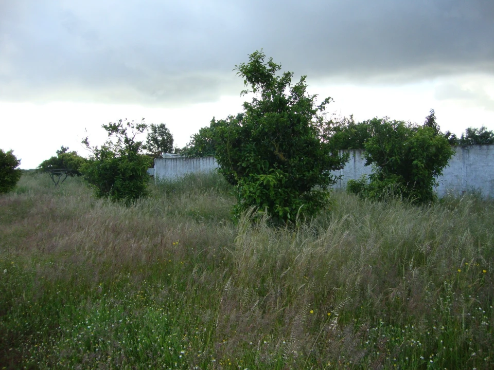 Terreno para Venda em Alcochete Foto 9