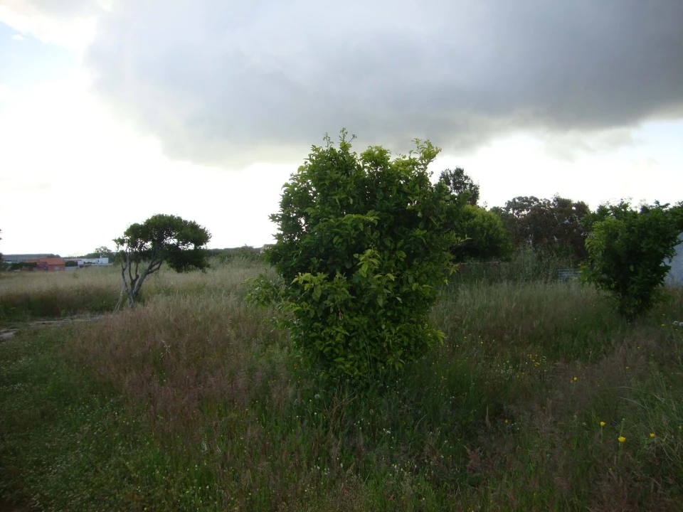 Terreno para Venda em Alcochete Foto 11