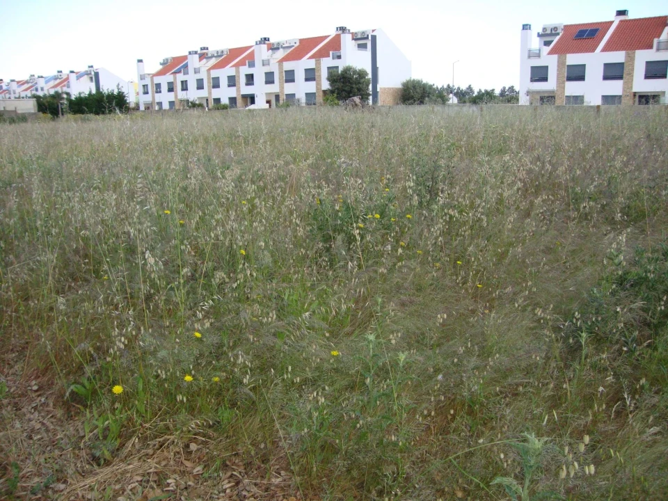 Terreno para Venda em Alcochete Foto 29