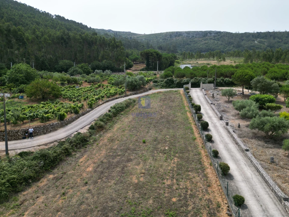 Terreno para Venda em Lamas e Cercal Foto 3