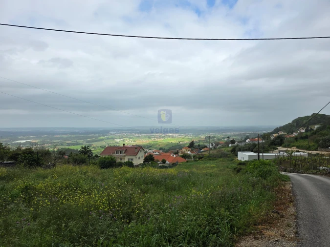 Terreno para Venda em Lamas e Cercal Foto 1