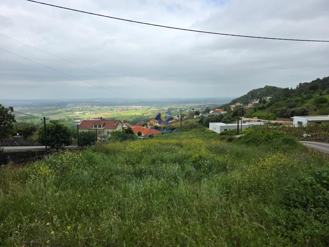 Terreno para Venda em Lamas e Cercal Foto 8