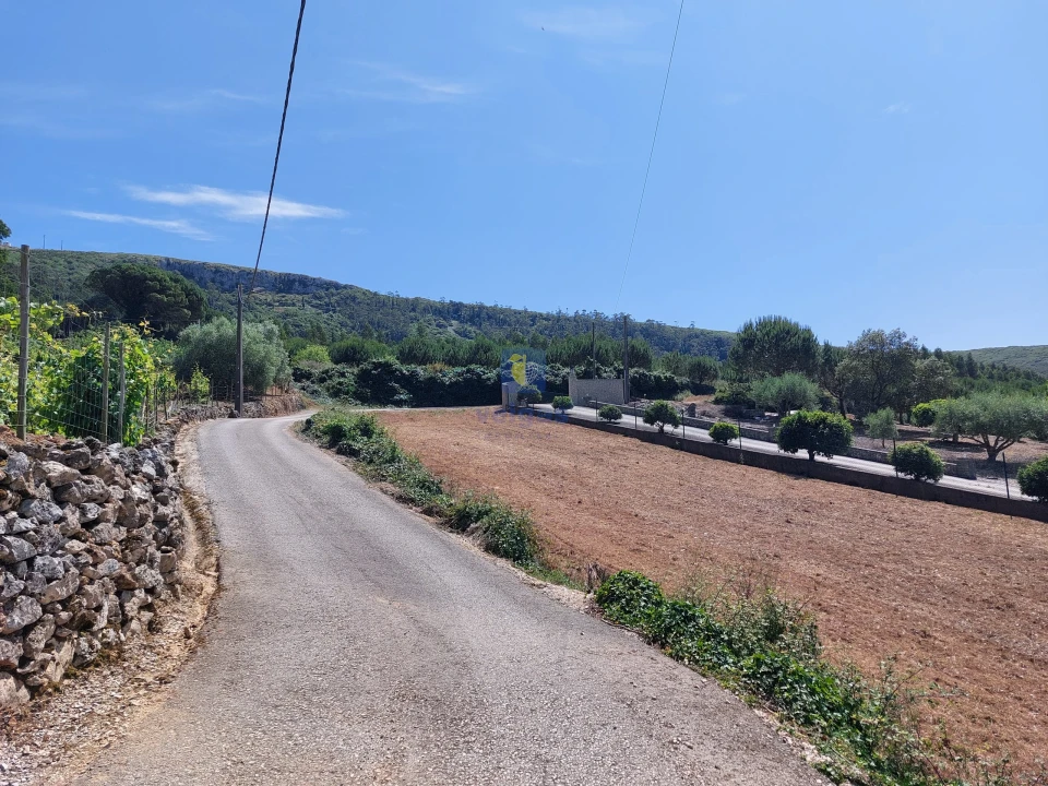 Terreno para Venda em Lamas e Cercal Foto 4
