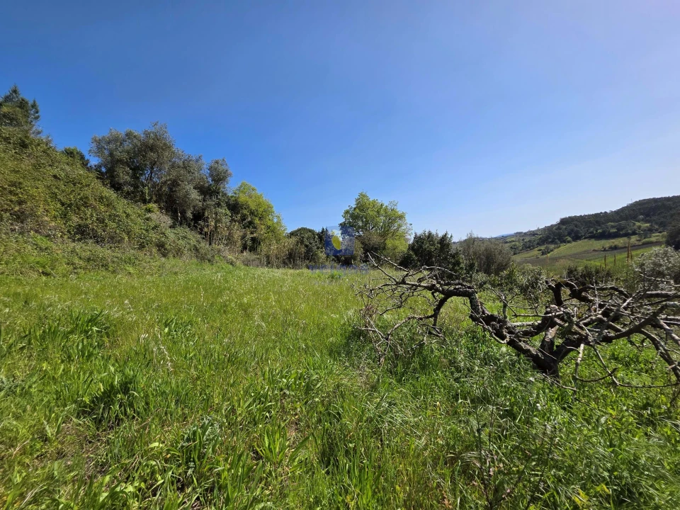 Moradia T3 para Venda em Vidais Foto 3