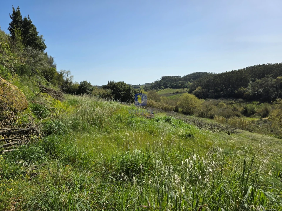 Moradia T3 para Venda em Vidais Foto 25