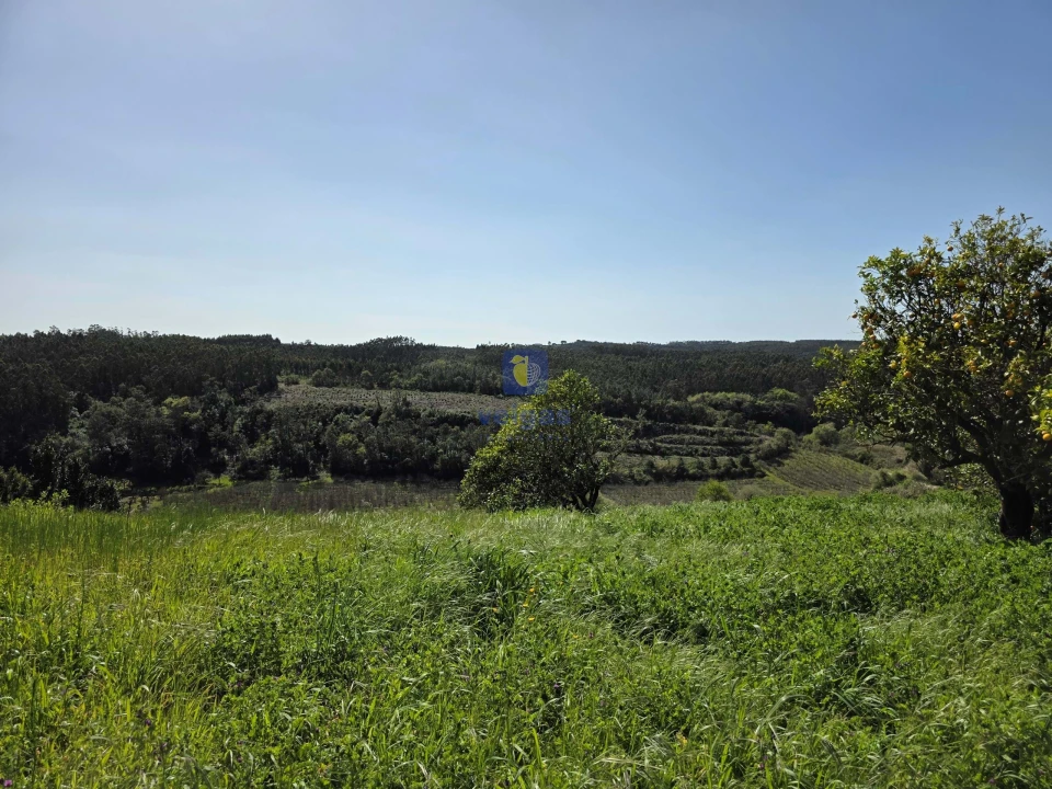 Moradia T3 para Venda em Vidais Foto 21