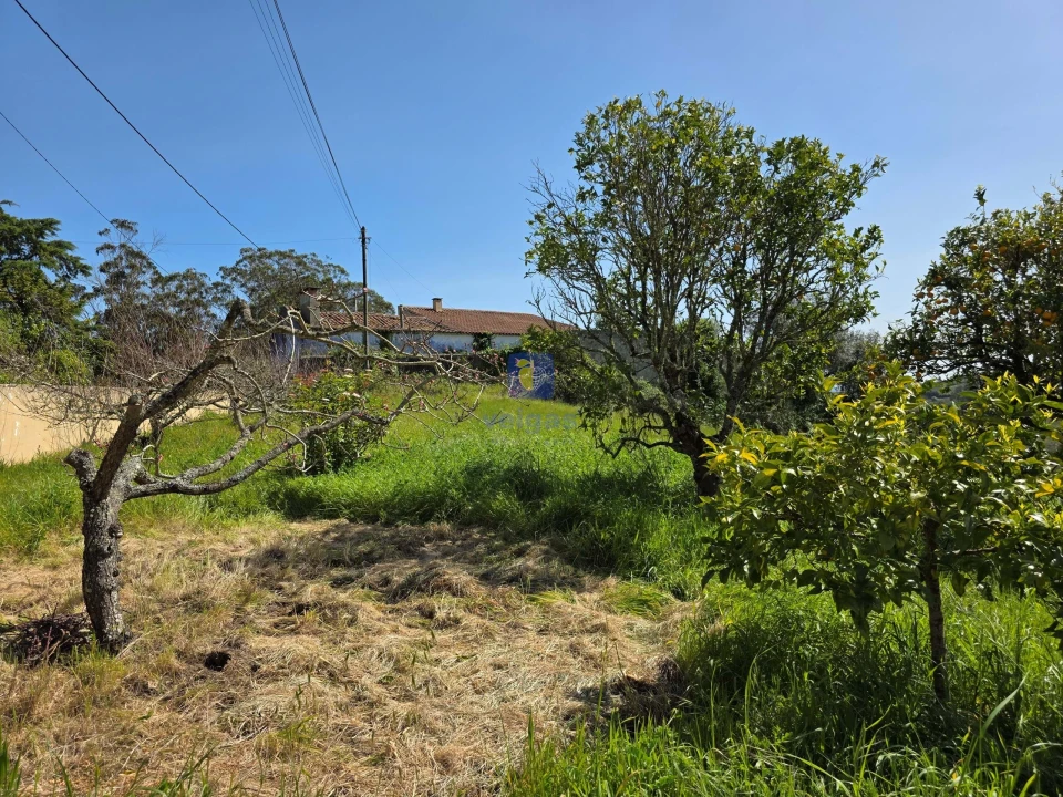 Moradia T3 para Venda em Vidais Foto 17