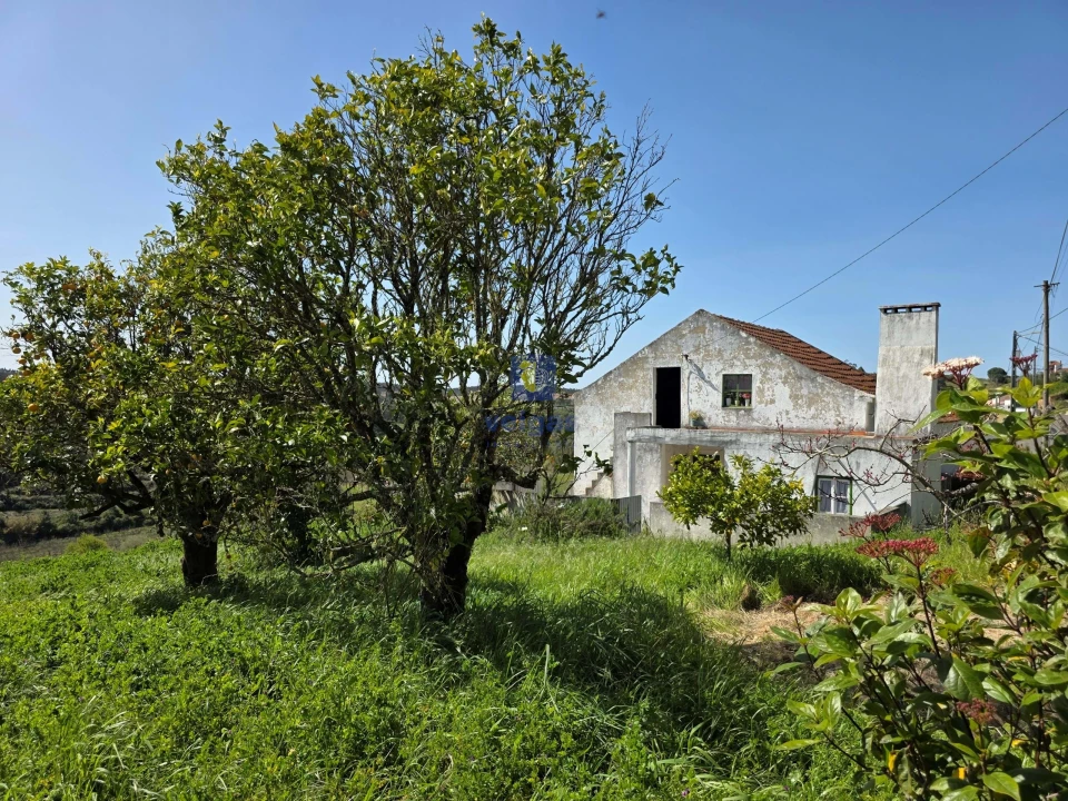 Moradia T3 para Venda em Vidais Foto 19