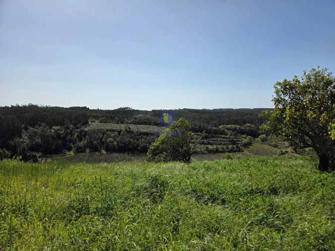 Moradia T3 para Venda em Vidais Foto 21