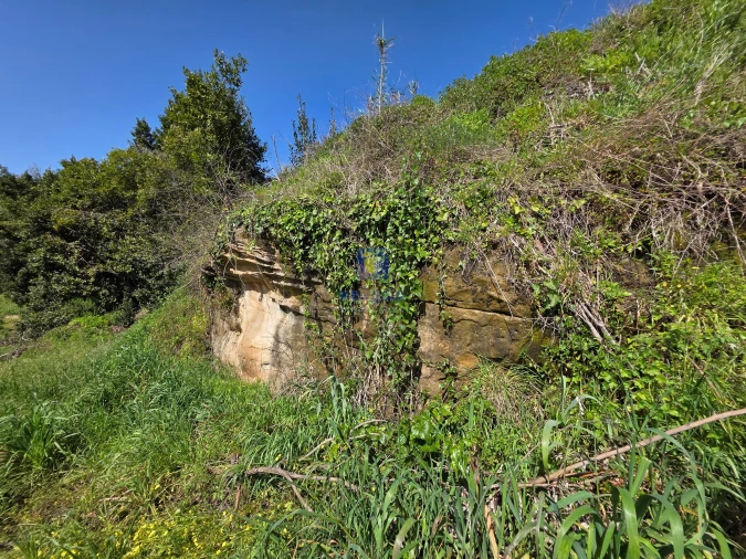 Moradia T3 para Venda em Vidais Foto 24