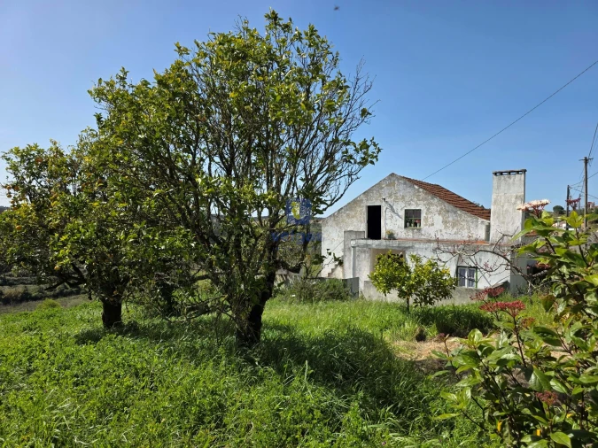 Moradia T3 para Venda em Vidais Foto 19