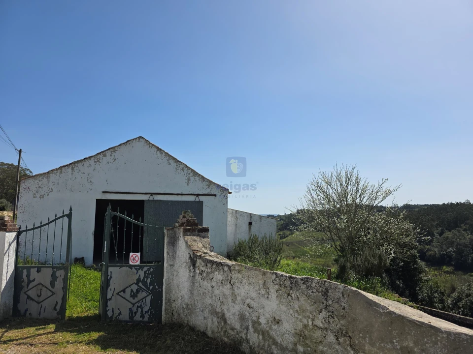 Moradia T3 para Venda em Vidais Foto 4