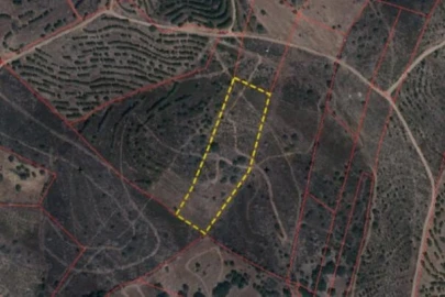 Terreno para Venda em Alcoutim e Pereiro