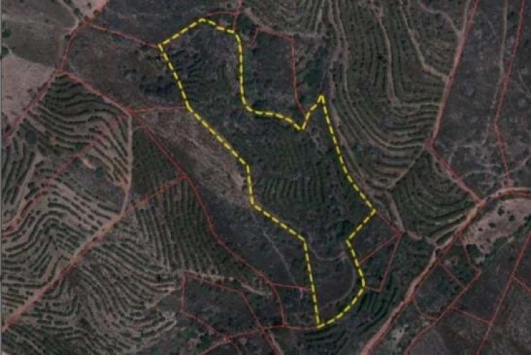 Terreno para Venda em Alcoutim e Pereiro Foto 1