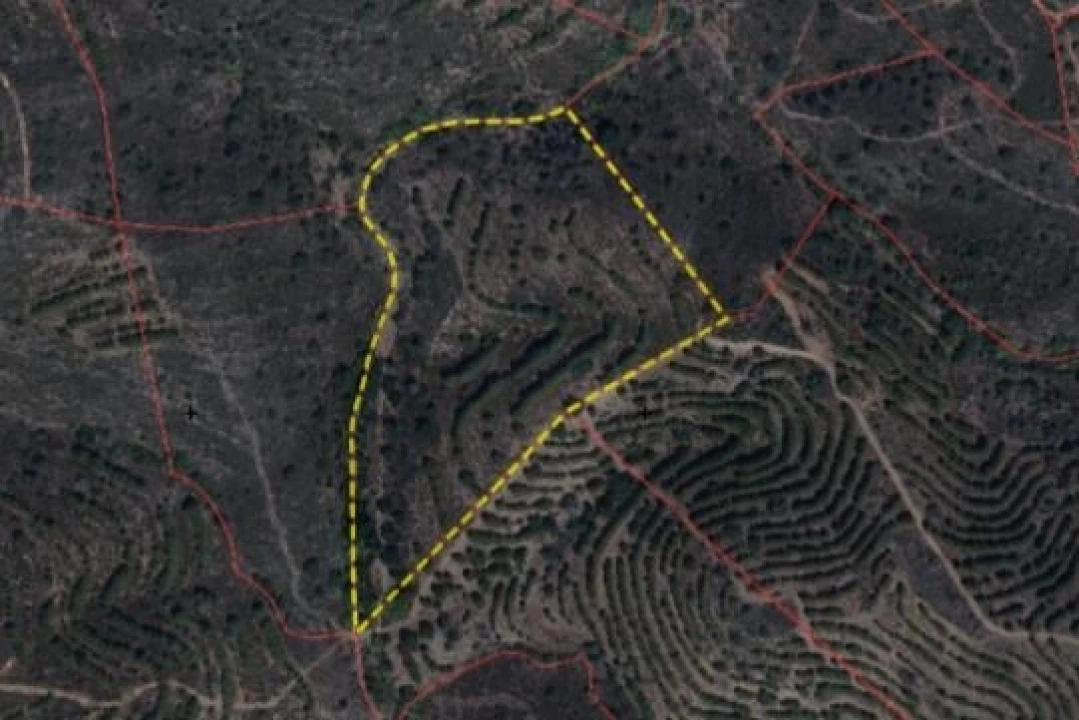 Terreno para Venda em Alcoutim e Pereiro Foto 1