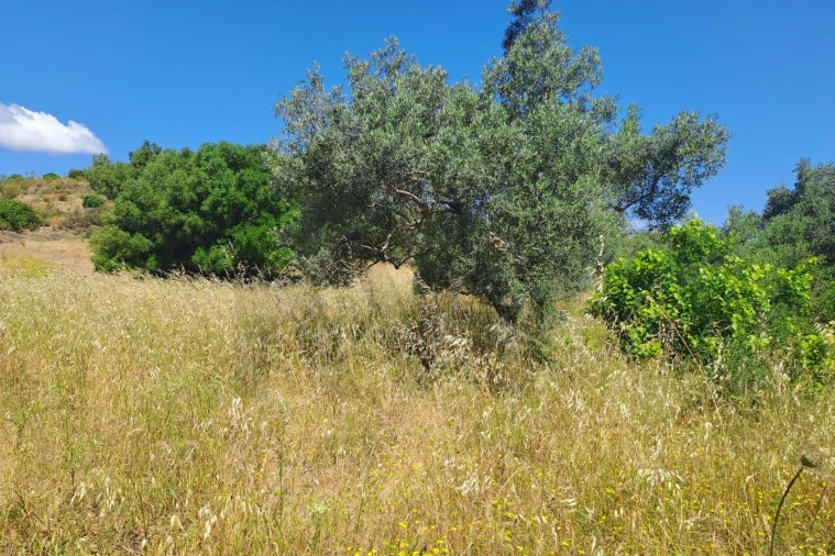 Terreno para Venda em Alcoutim e Pereiro Foto 3